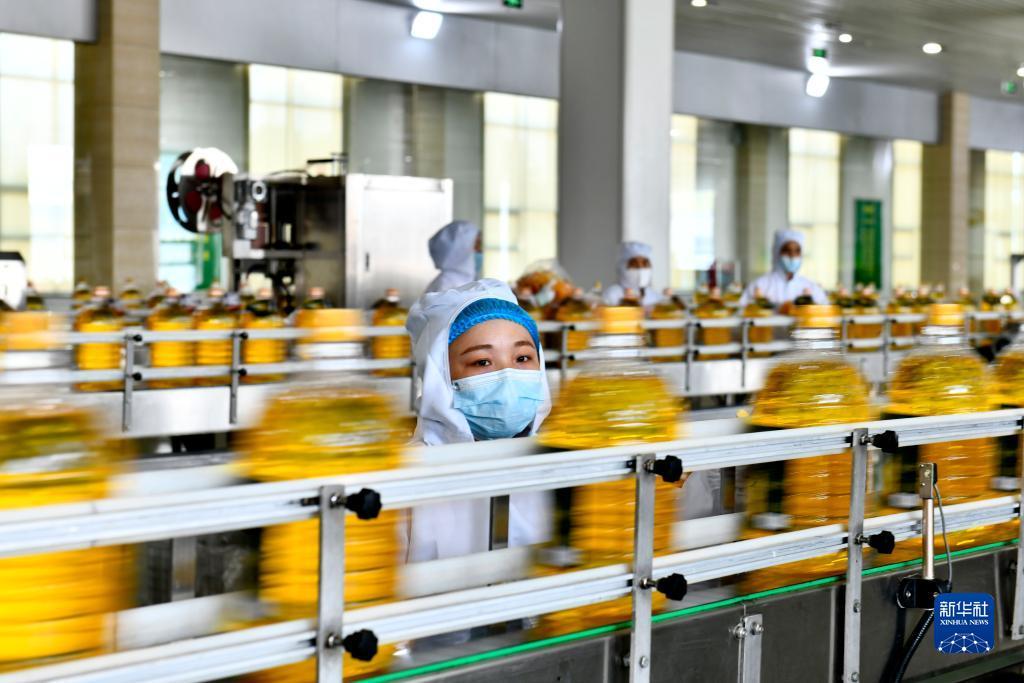 最新白菜网址不限ip